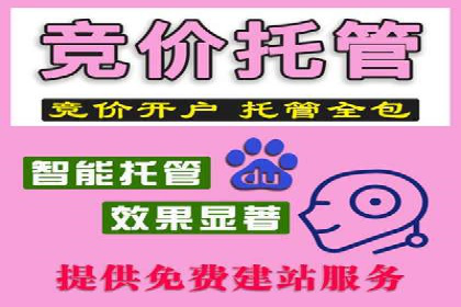 百度竞价开户的五大成功案例：如何进行精准投放？